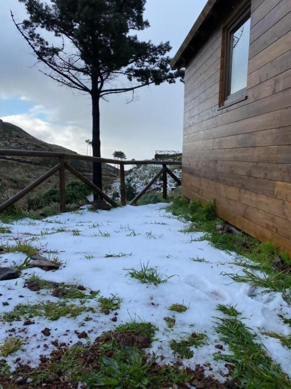 Hotel Mountain Eco Shelter 2 Funchal  Esterno foto