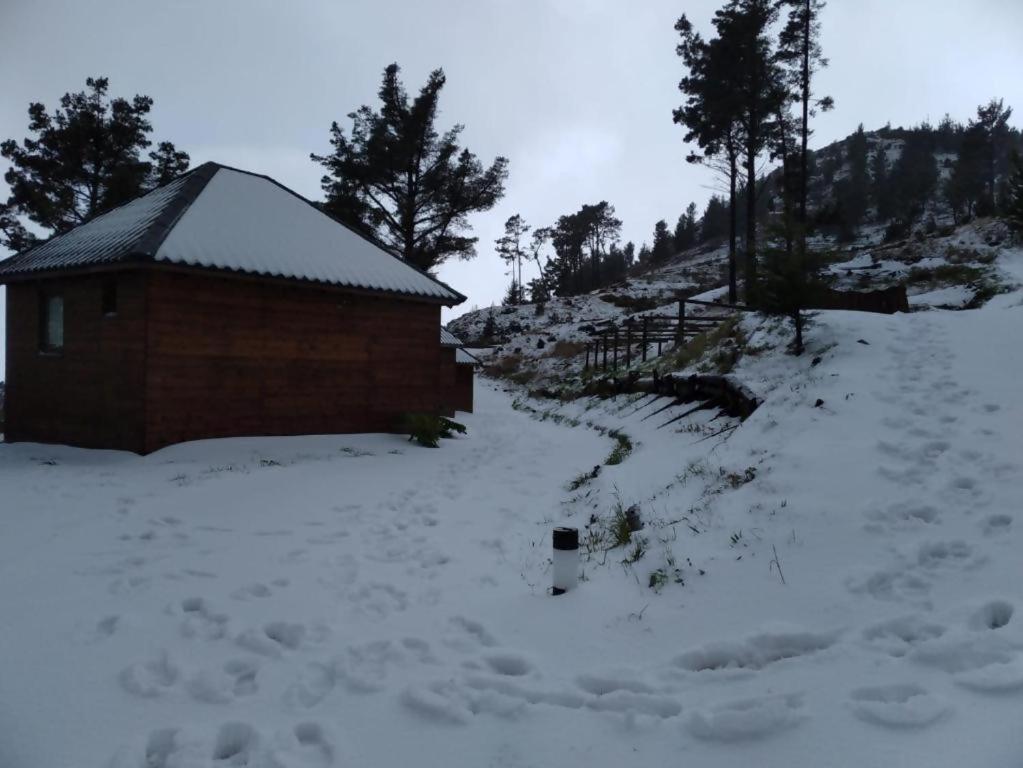 Hotel Mountain Eco Shelter 2 Funchal  Esterno foto